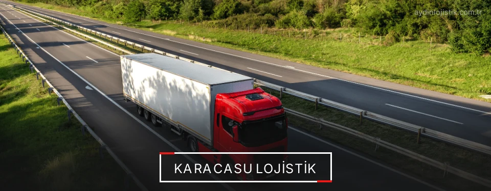 Karacasu Lojistik Kargo